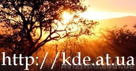 Натуральный декоративный камень - <ro>Изображение</ro><ru>Изображение</ru> #1, <ru>Объявление</ru> #87734