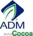 какао-порошок натуральный , алкализированный (ADM) - <ro>Изображение</ro><ru>Изображение</ru> #1, <ru>Объявление</ru> #171568