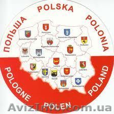 Зварювальники, покрівельники. Польща - <ro>Изображение</ro><ru>Изображение</ru> #1, <ru>Объявление</ru> #353112
