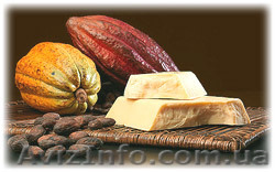 какао-масло натуральное. дезодорированное (Малайзия,Нидерланды) - <ro>Изображение</ro><ru>Изображение</ru> #1, <ru>Объявление</ru> #922199