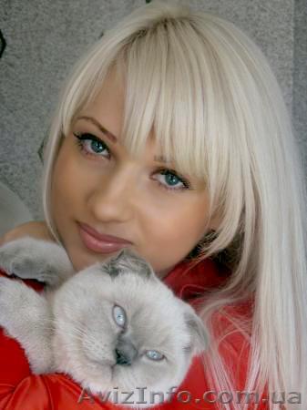 Ремонт  телевизоров , мониторов  - <ro>Изображение</ro><ru>Изображение</ru> #1, <ru>Объявление</ru> #1059285