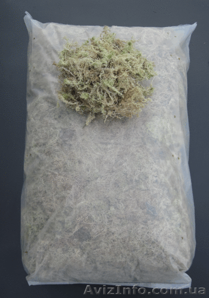 Мох сфагнум (Ph 3,0-4,0) - <ro>Изображение</ro><ru>Изображение</ru> #1, <ru>Объявление</ru> #1233694