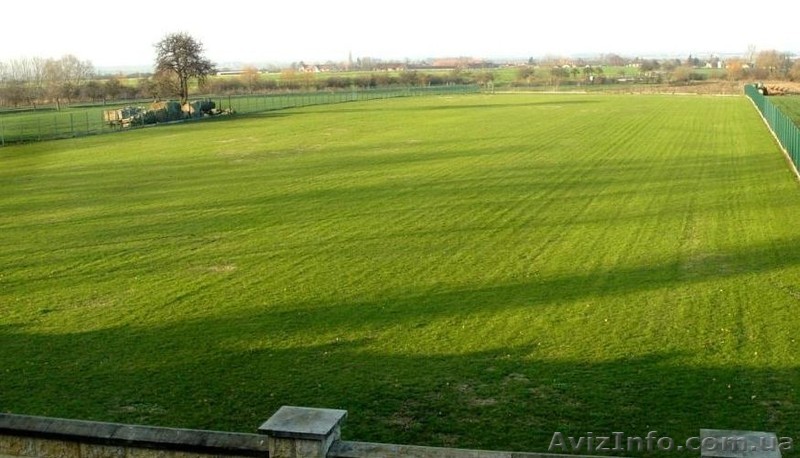 Куплю землю за «Епіцентром», «Екватором» або Поліклінікою №3. - <ro>Изображение</ro><ru>Изображение</ru> #1, <ru>Объявление</ru> #1231440