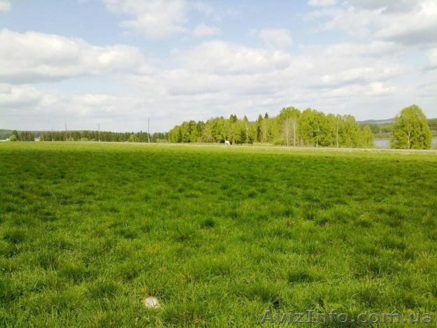 Куплю земельну ділянку в Ново Українці - <ro>Изображение</ro><ru>Изображение</ru> #1, <ru>Объявление</ru> #1231227