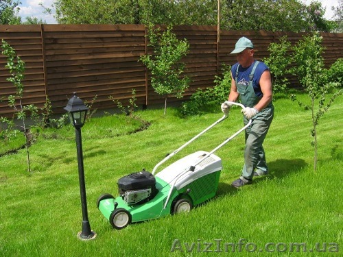 Послуги стрижки газонів, скошування трави. Рівне - <ro>Изображение</ro><ru>Изображение</ru> #1, <ru>Объявление</ru> #1273974