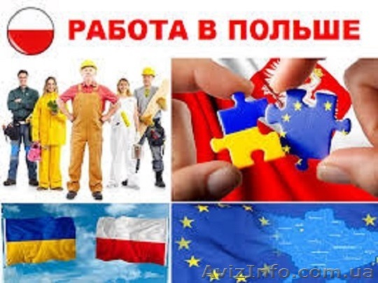 Работа в Польше и Германии - <ro>Изображение</ro><ru>Изображение</ru> #1, <ru>Объявление</ru> #1578598