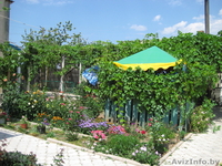 Отдых  Крыму!! Частный пансионат,60 грн  - <ro>Изображение</ro><ru>Изображение</ru> #3, <ru>Объявление</ru> #244532