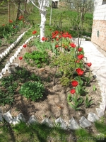 Продам дачу в Рівне (Городище) - <ro>Изображение</ro><ru>Изображение</ru> #3, <ru>Объявление</ru> #564182