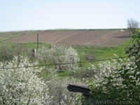 Продам дачу в Рівне (Городище) - <ro>Изображение</ro><ru>Изображение</ru> #4, <ru>Объявление</ru> #564182