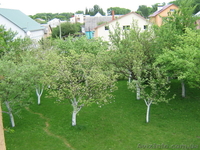 Продам будинок С.Вереснве вул. Дніпропровська 31 - <ro>Изображение</ro><ru>Изображение</ru> #4, <ru>Объявление</ru> #666098