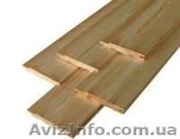 Лиственница сибирская Ровно Украина - <ro>Изображение</ro><ru>Изображение</ru> #2, <ru>Объявление</ru> #153194