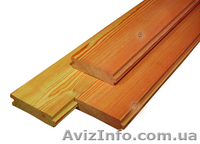 Лиственница сибирская Ровно Украина - <ro>Изображение</ro><ru>Изображение</ru> #6, <ru>Объявление</ru> #153194