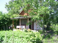 Продам дачу в Кам'яній Горі. Терміново. 5000у.е. - <ro>Изображение</ro><ru>Изображение</ru> #1, <ru>Объявление</ru> #778825