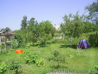 Продам дачу в Кам'яній Горі. Терміново. 5000у.е. - <ro>Изображение</ro><ru>Изображение</ru> #4, <ru>Объявление</ru> #778825