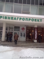 сдаются в аренду помещения в центре - <ro>Изображение</ro><ru>Изображение</ru> #1, <ru>Объявление</ru> #808992