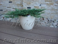 террасная доска для помещения, улицы, декинг - <ro>Изображение</ro><ru>Изображение</ru> #1, <ru>Объявление</ru> #824279