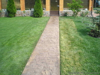 Декор штукатурка - <ro>Изображение</ro><ru>Изображение</ru> #2, <ru>Объявление</ru> #822848