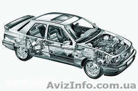 АНАТОЛІЙ-CERVIS - <ro>Изображение</ro><ru>Изображение</ru> #1, <ru>Объявление</ru> #834802