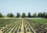 Поливальная система NETTUNO КОНСОЛИ ДЛЯ ПОЛИВА (лизинг, кредит) - <ro>Изображение</ro><ru>Изображение</ru> #5, <ru>Объявление</ru> #868795