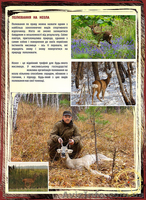 корпоративное право в охотничьем хозяйстве - <ro>Изображение</ro><ru>Изображение</ru> #2, <ru>Объявление</ru> #877808