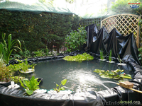 Пленка ПВХ для водоемов и декоративных водопадов - <ro>Изображение</ro><ru>Изображение</ru> #4, <ru>Объявление</ru> #892010