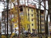 Жилье под Киевом - <ro>Изображение</ro><ru>Изображение</ru> #2, <ru>Объявление</ru> #995081