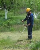 Стрижка газонів, скошування трави - <ro>Изображение</ro><ru>Изображение</ru> #8, <ru>Объявление</ru> #1082297