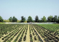 Поливальные установки дождевальные машины NETTUNO  - <ro>Изображение</ro><ru>Изображение</ru> #5, <ru>Объявление</ru> #1090965