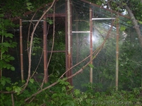 Дача в Новоукраинке с участком 6 соток (гараж, сарай, теплица) - <ro>Изображение</ro><ru>Изображение</ru> #4, <ru>Объявление</ru> #1165434