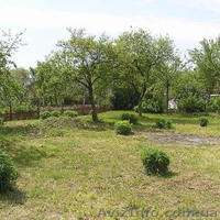 Без агенств та посередників - <ro>Изображение</ro><ru>Изображение</ru> #3, <ru>Объявление</ru> #1241405