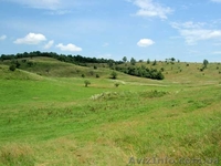 Куплю земельну ділянку. Рівне, без посередників. - <ro>Изображение</ro><ru>Изображение</ru> #1, <ru>Объявление</ru> #1230205