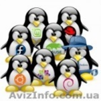 Admin- Мaster — это самый быстрый и качественный ремонт компьютеров - <ro>Изображение</ro><ru>Изображение</ru> #3, <ru>Объявление</ru> #1285060