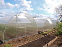 Теплицы с поликарбонатом арочные. - <ro>Изображение</ro><ru>Изображение</ru> #4, <ru>Объявление</ru> #1510861