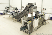 Весовой дозатор+упаковщик овощей в рашель-мешки - <ro>Изображение</ro><ru>Изображение</ru> #1, <ru>Объявление</ru> #1542301