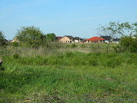 Супер ділянка на Газовику за супер ціною! Без комісії! - <ro>Изображение</ro><ru>Изображение</ru> #6, <ru>Объявление</ru> #1560277