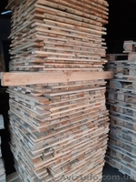 Поддон, поддони, пiддон, палета, пелета, палеты - <ro>Изображение</ro><ru>Изображение</ru> #1, <ru>Объявление</ru> #1616109