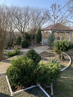 Продам двухэтажный дом г. Ровно - <ro>Изображение</ro><ru>Изображение</ru> #8, <ru>Объявление</ru> #1675601