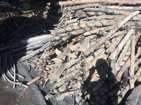 Куплю кабель різних видів від 1т - <ro>Изображение</ro><ru>Изображение</ru> #4, <ru>Объявление</ru> #1679724