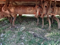 Гребнеутворювач  Grimme DF-3000, в наявності - <ro>Изображение</ro><ru>Изображение</ru> #6, <ru>Объявление</ru> #1680776