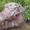 Камінь природній для ландшафту. Річковий, валуни, мармур, кварцит,кремній, слане - <ro>Изображение</ro><ru>Изображение</ru> #1, <ru>Объявление</ru> #6898