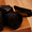 Продаю Nikon D300s DSLR камеры Digita #121132