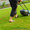 Стрижка газонів, скошування трави, послуги садівника - <ro>Изображение</ro><ru>Изображение</ru> #3, <ru>Объявление</ru> #895646
