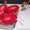 Семена - почтой: овощные экзоты - кивано, момордика, тзимбало и др.,  - <ro>Изображение</ro><ru>Изображение</ru> #4, <ru>Объявление</ru> #504675