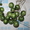 Семена - почтой: овощные экзоты - кивано, момордика, тзимбало и др.,  - <ro>Изображение</ro><ru>Изображение</ru> #6, <ru>Объявление</ru> #504675
