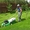 Послуги стрижки газонів,  скошування трави. Рівне #1273974
