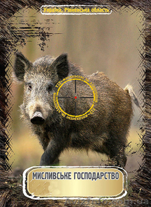 корпоративное право в охотничьем хозяйстве - <ro>Изображение</ro><ru>Изображение</ru> #4, <ru>Объявление</ru> #877808