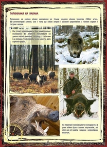 корпоративное право в охотничьем хозяйстве - <ro>Изображение</ro><ru>Изображение</ru> #1, <ru>Объявление</ru> #877808