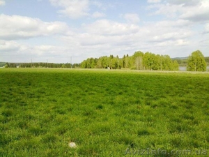 Куплю земельну ділянку в Ново Українці - <ro>Изображение</ro><ru>Изображение</ru> #1, <ru>Объявление</ru> #1231227