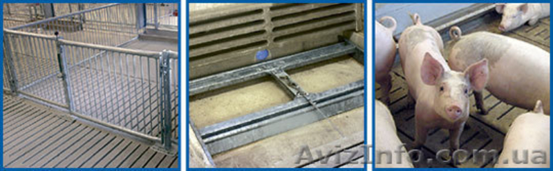 Коровники и свинокомплексы Pellon, элеваторы Goldsaat - <ro>Изображение</ro><ru>Изображение</ru> #2, <ru>Объявление</ru> #370643