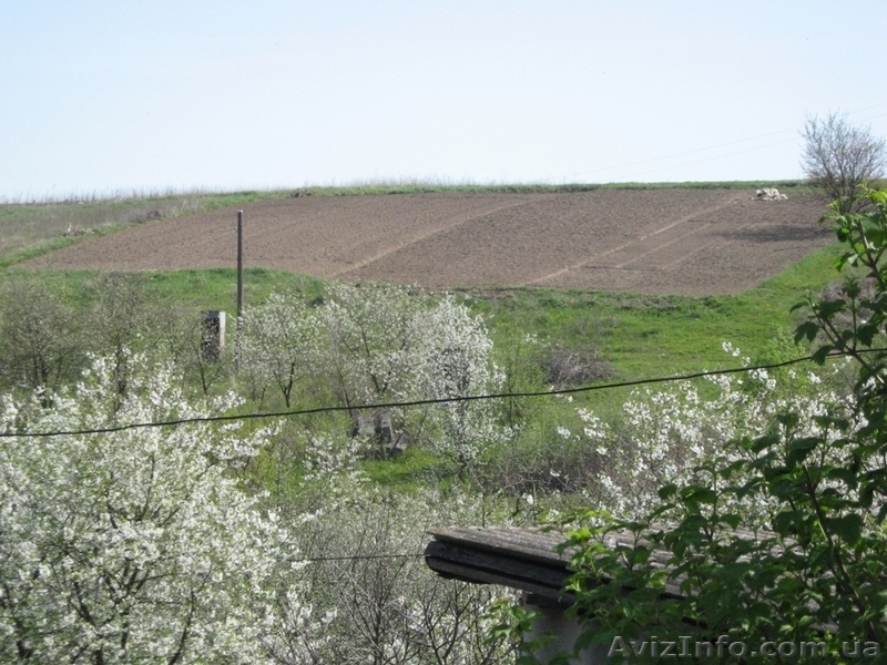 Продам дачу в Рівне (Городище) - <ro>Изображение</ro><ru>Изображение</ru> #4, <ru>Объявление</ru> #564182